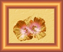 0018