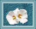 0019