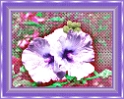 0026