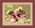 0027