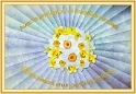 0000