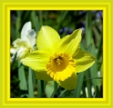 0019
