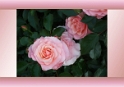 0203
