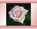 0203
