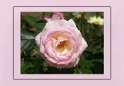 0321