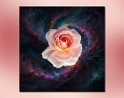0008