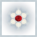 0008