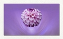 0014