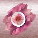 0118