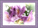 0017