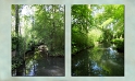 0004