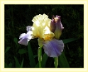 0022