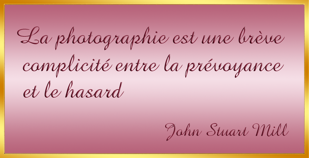 La photographie est une br�ve 
complicit� entre le hasard et la pr�voyance