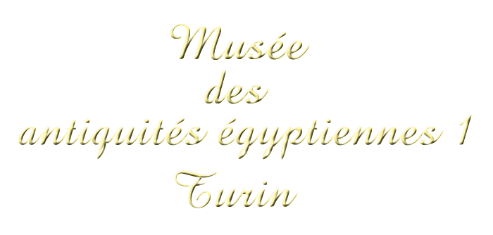 mus�es