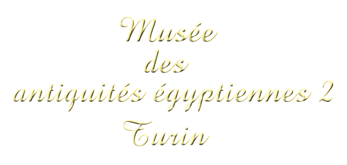 mus�es