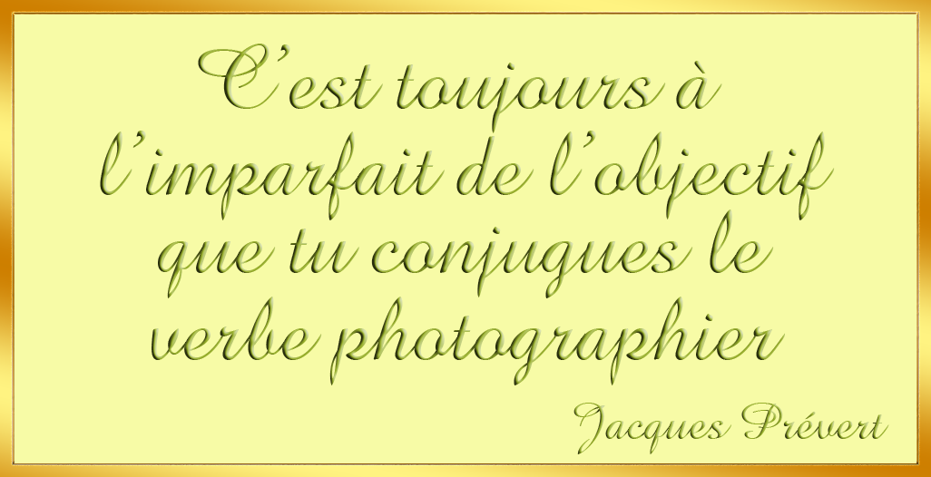 C'est toujours � l'imparfait de 
l'objectif que tuconjugues le verbe photographier