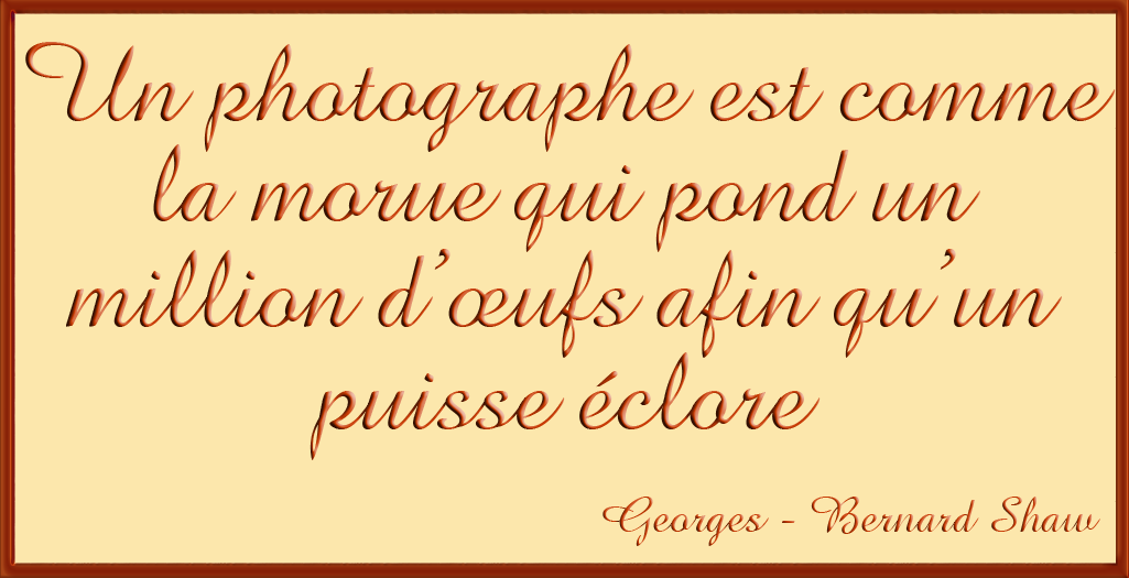 Un photographe est comme la morue 
qui pond un million d'oeufs pour qu'un puisse �clore